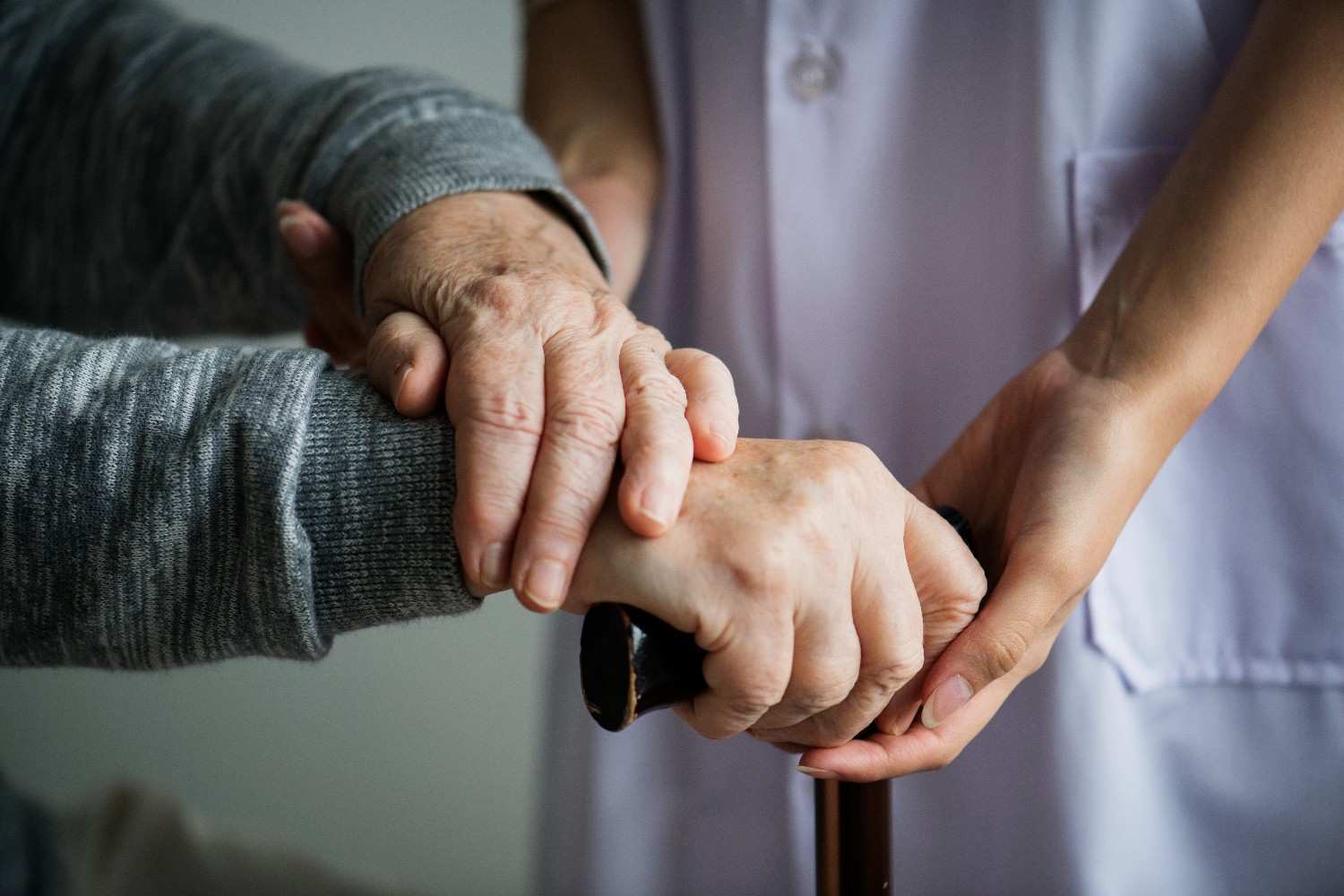 Risk Assessment in Adult and Senior Care